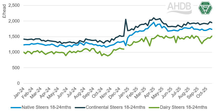 Weekly England & Wales average store steer prices 18-24 months